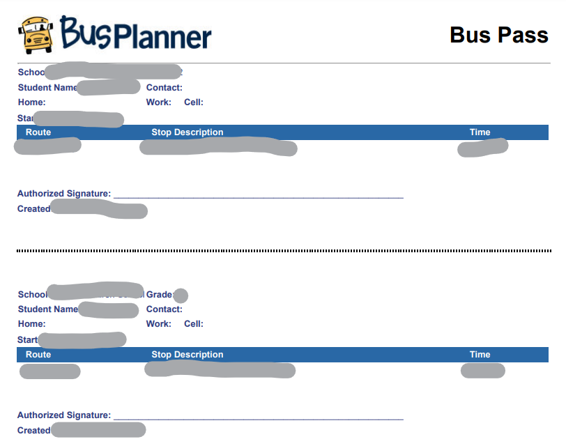 Bus Passes Report Results